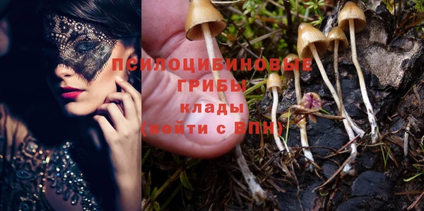 ALPHA PVP Мегион