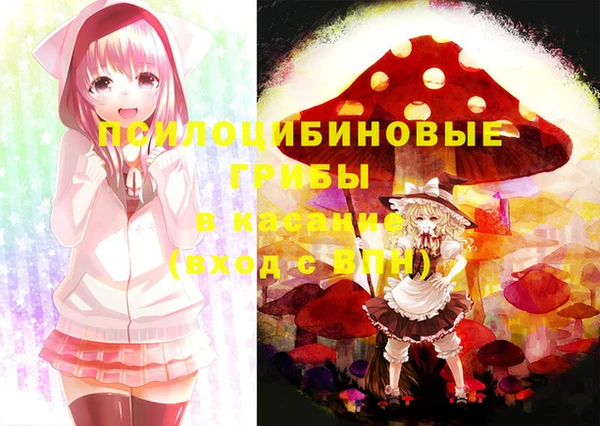 амф Щигры