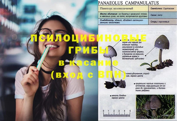 ешки Михайлов