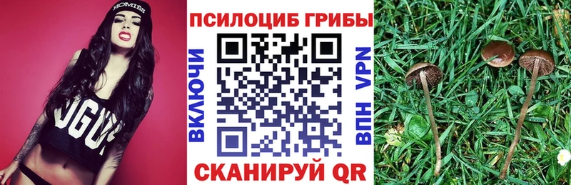 Галлюциногенные грибы GOLDEN TEACHER  Сысерть 